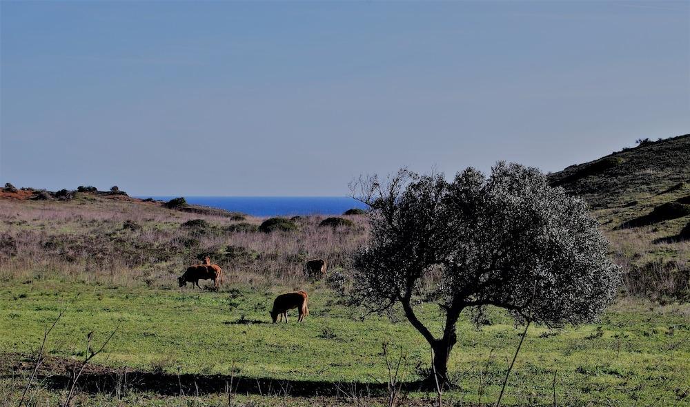 Praia Do Burgau Exteriör bild